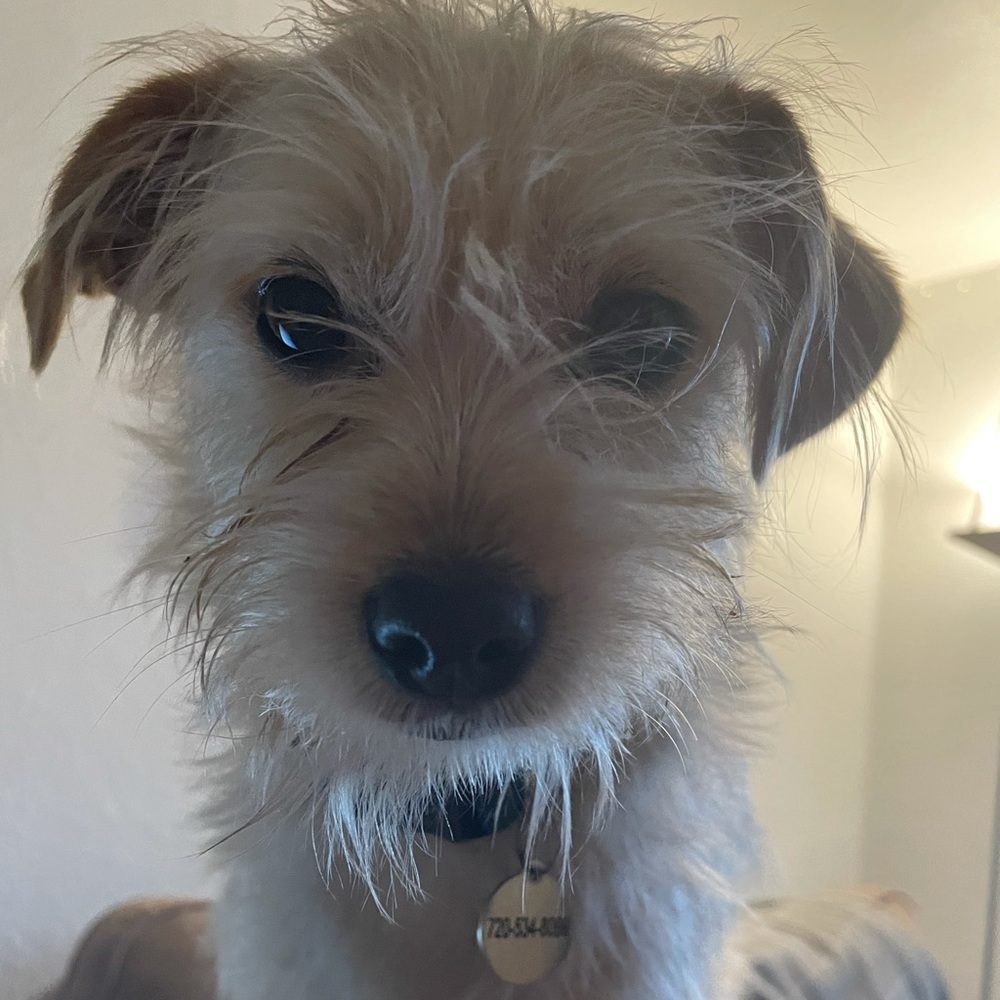 Meet your Posher, Alexandra